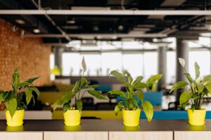 environmentally-friendly coworking office space