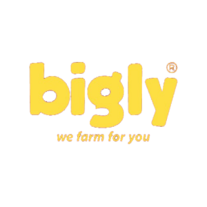Bigly